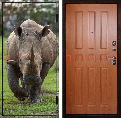 Металлическая дверь с фотопечатью носорога ДФ-31 в Чехове
